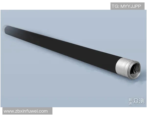 二手哑铃价格揭秘让你轻松找到性价比最高的选择